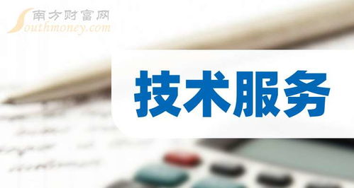 2024年第二季度技術(shù)服務(wù)公司每股收益排行榜 洞察技術(shù)開發(fā)領(lǐng)域的盈利先鋒